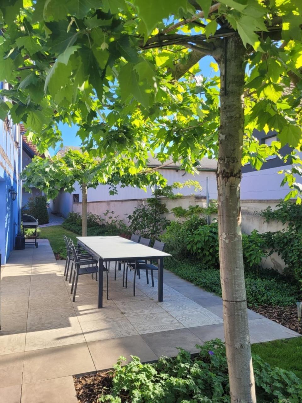 Le Clos Des Jardiniers Gottri Gerstheim Екстер'єр фото